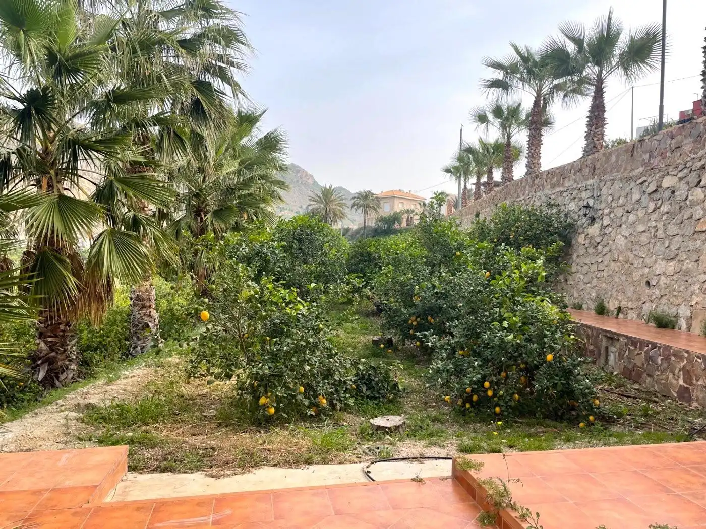 Landhaus mit Terrasse zum Verkauf in Villanueva del Río Segura, imagen 76