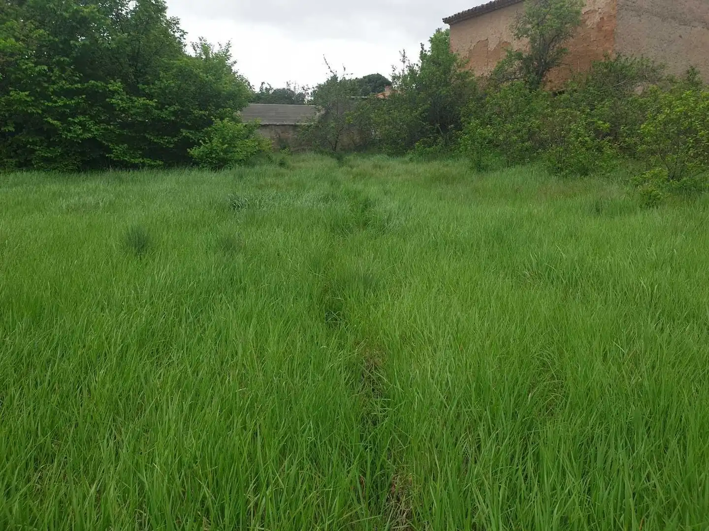 Terreno en venta en Munébrega