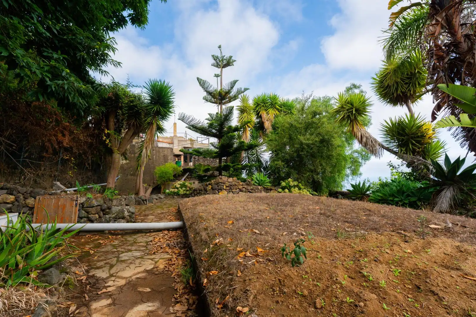 Maison rustique avec jardin à vendre à La Perdoma - San Antonio - Benijos, imagen 17