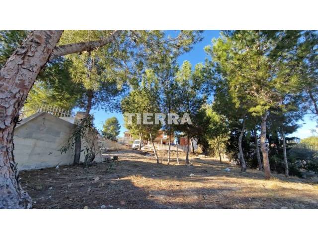 Finca rústica en Venta en Calle PUNTA DE LA AZOHIA en Barqueros