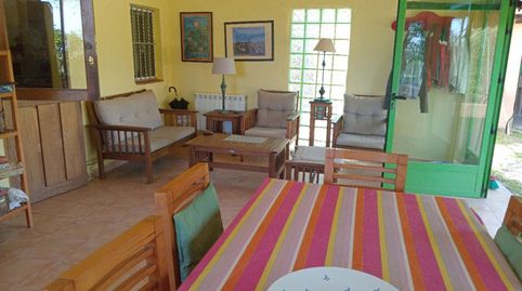 Candeleda Casa rústica 155 m2 útiles en 3 Ha. arboladas.  3 hab, 2 baños. + cabaña madera 2 hab y aseo, piscina y nave de 150m2 , imatge 4
