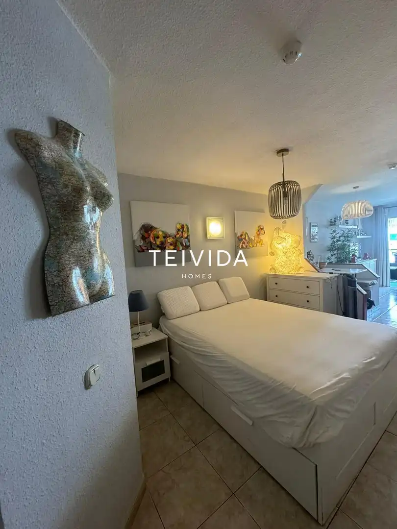 Appartamento con piscina in vendita a Avenida de España, imagen 8