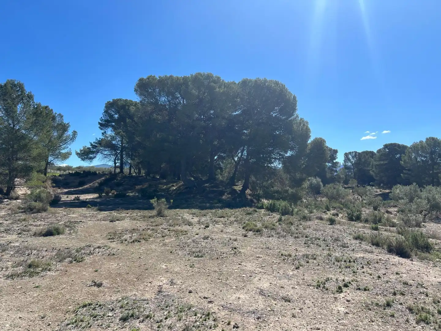 Country homes for sale in Castalla