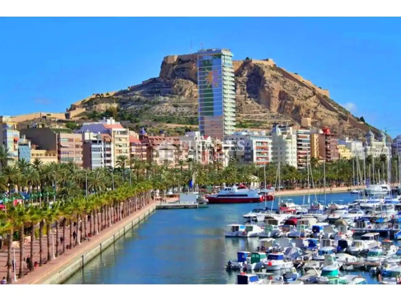 Vista exterior de Piso en venta en Alicante / Alacant con Terraza y Amueblado