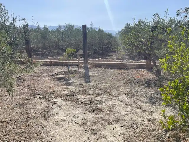 Land for sale in Pechina