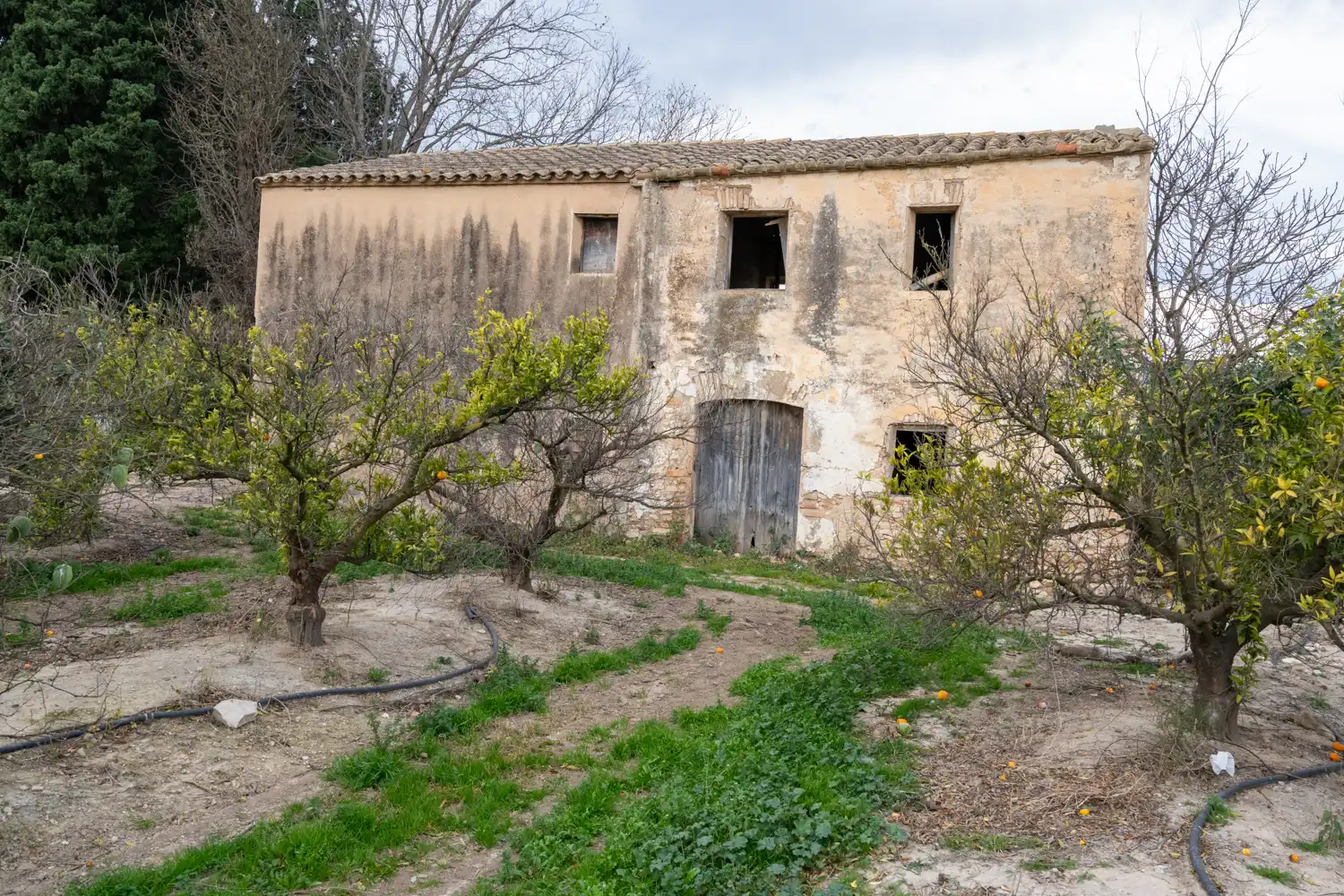 Terrain rustique à vendre à Partida Sant Bernabe 466, imagen 11