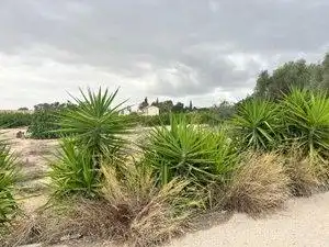 Casa rústica en venta en Pedanías Oeste, imagen 7