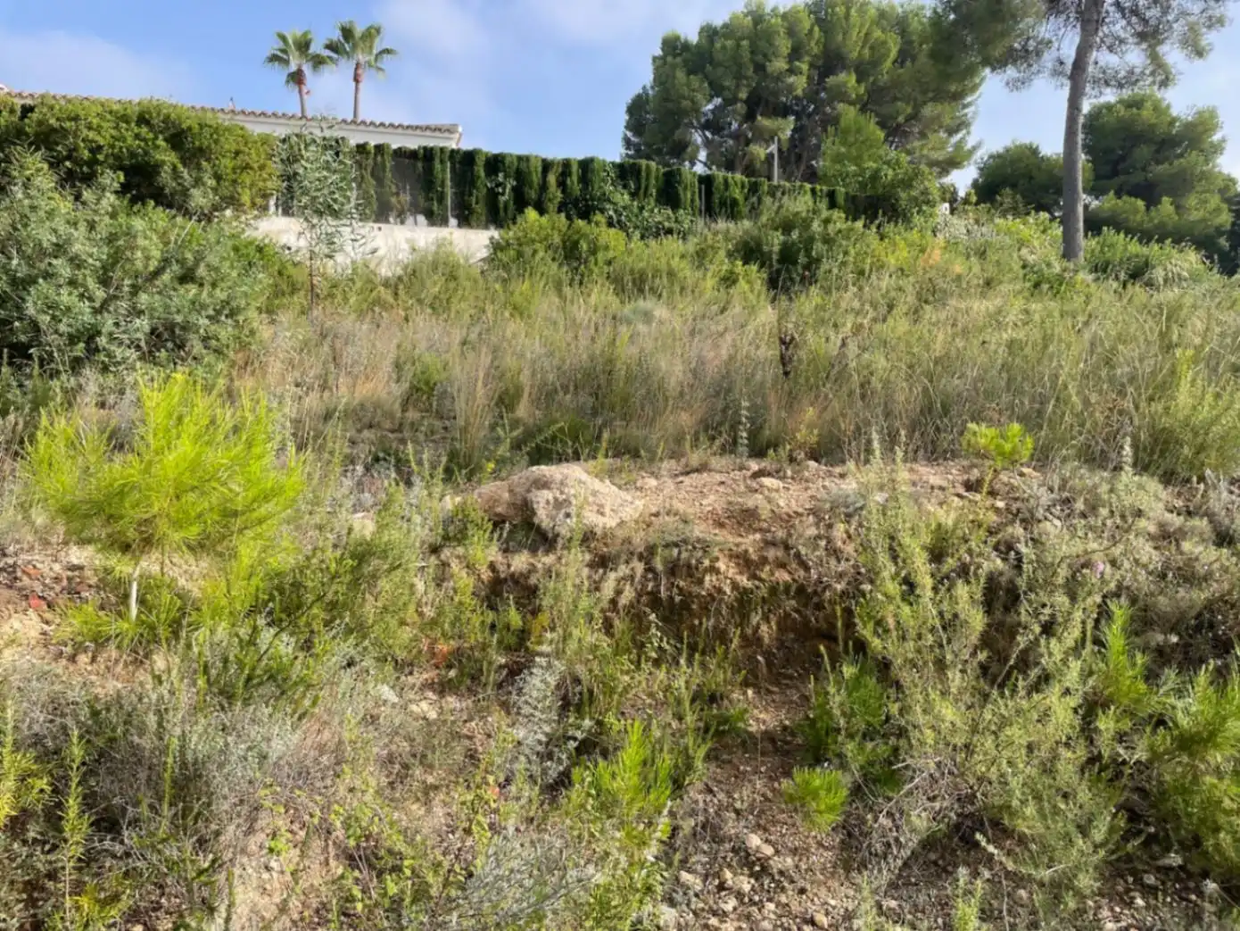 Terreny residencial en venda a El Portet - Pla de Mar, imagen 9