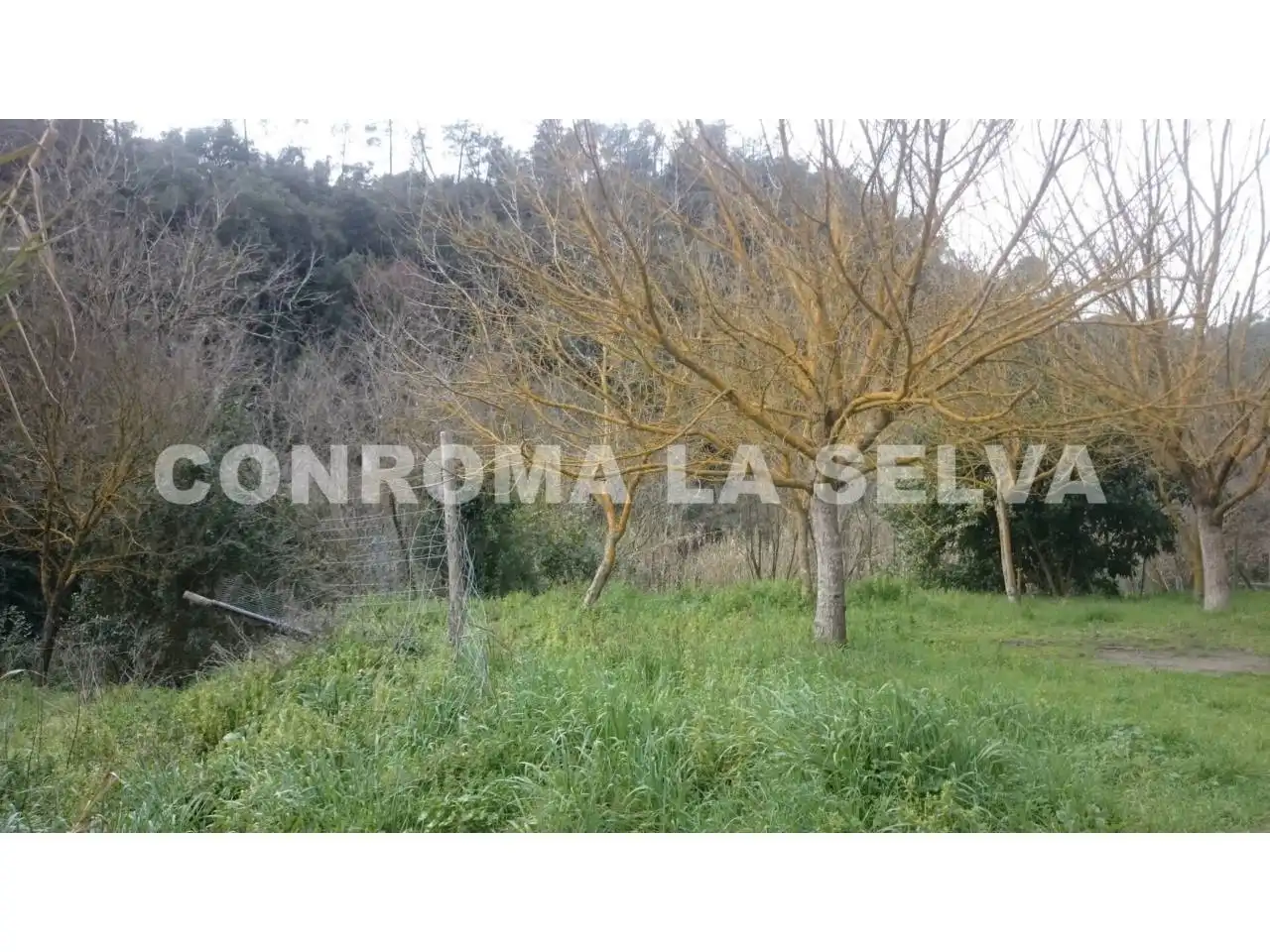 Casa rústica amb jardí en venda a Tordera pueblo, imagen 3