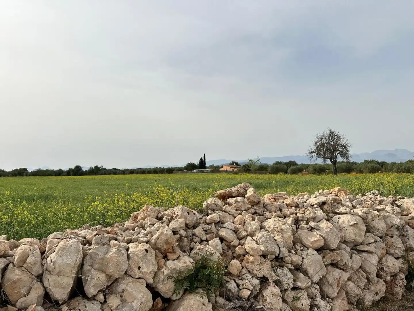 Country homes for sale in Algaida  with Private garden