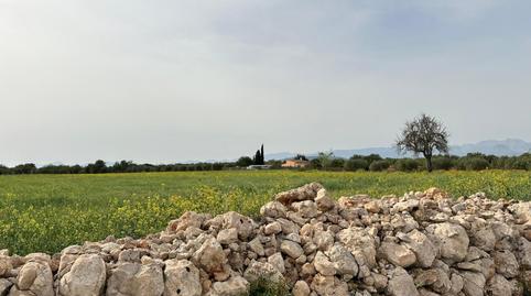 Foto 3 de Finca rústica en venda a Camí de Muntanya, Algaida, Illes Balears