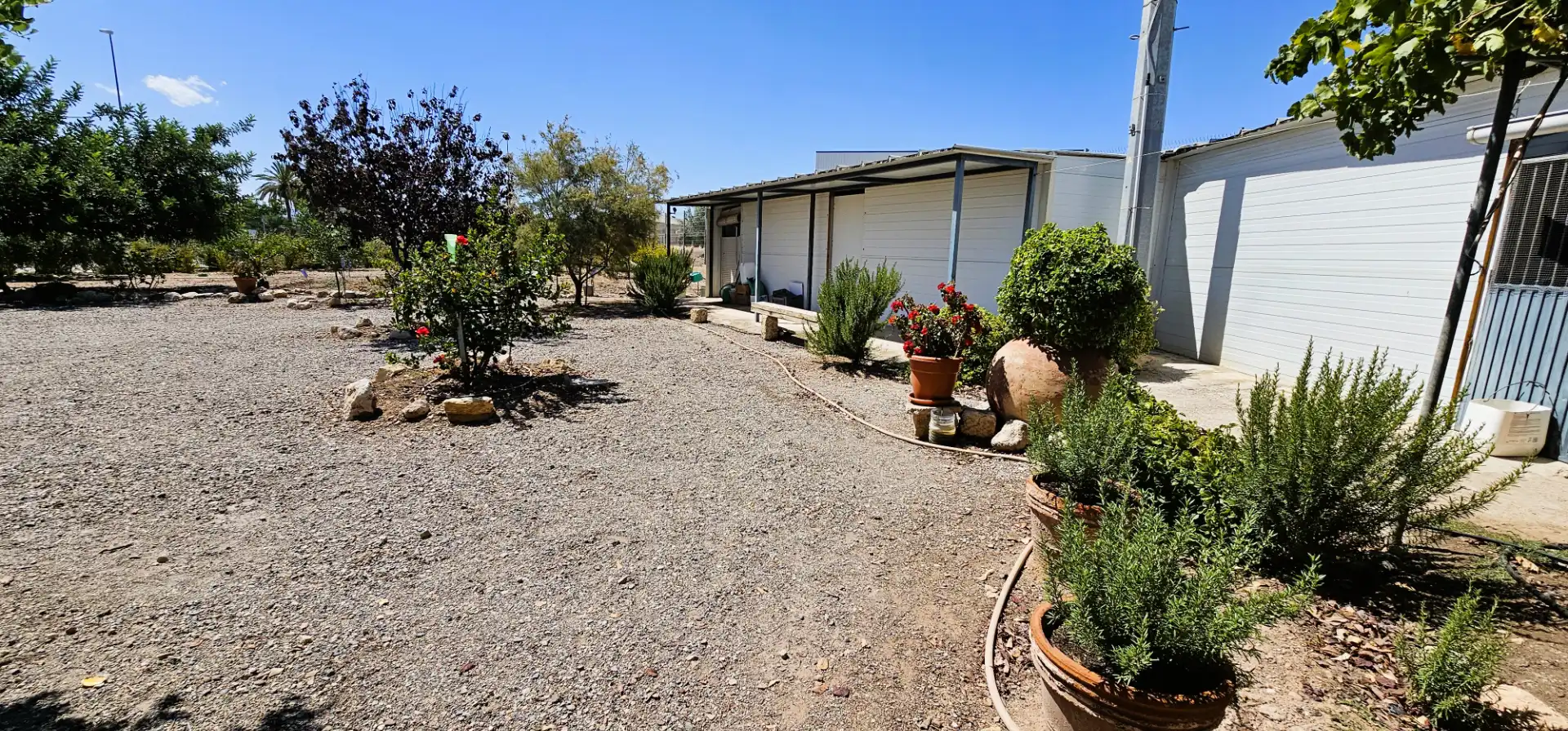 Jardín de Nave industrial en venta en Totana