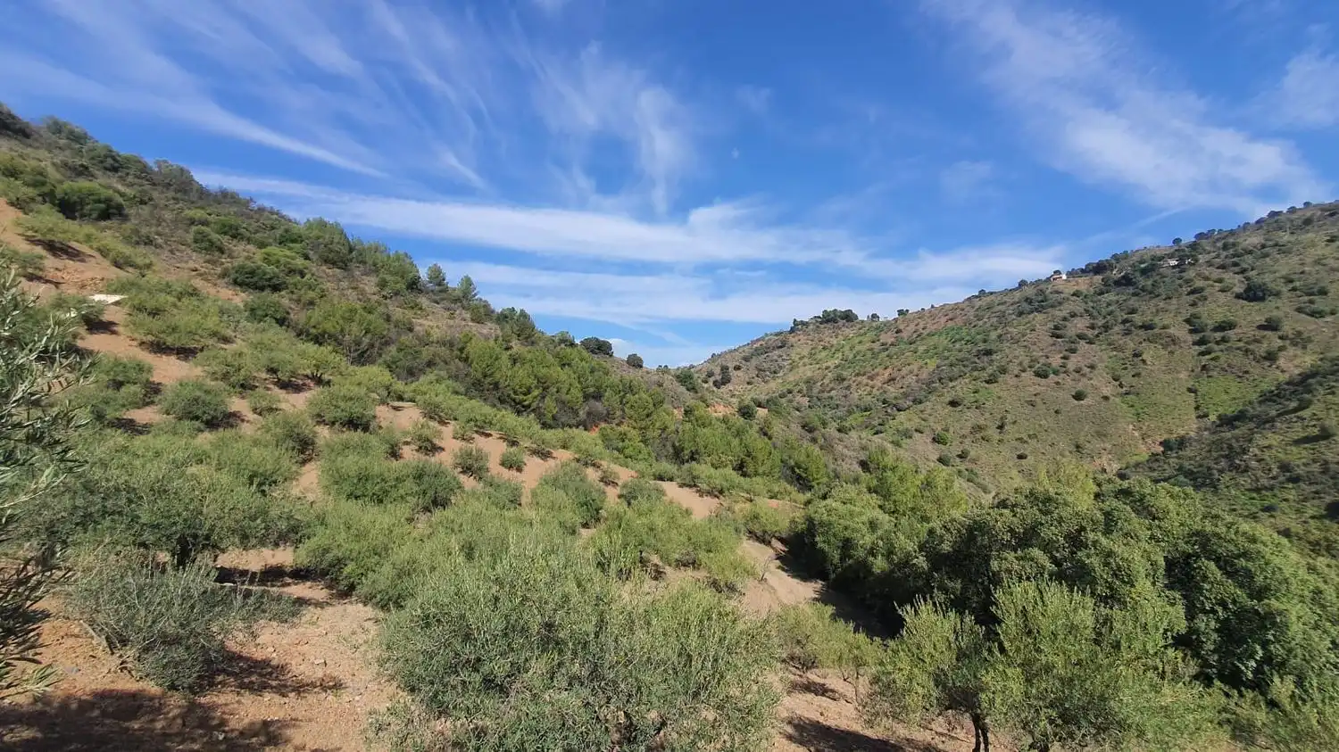 Residencial en venta en Monda