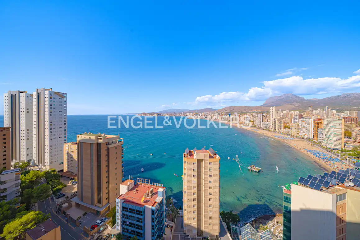 Apartment mit Pool zur Miete in Calle Alcalde Manuel Catalán Chana 7, imagen 19