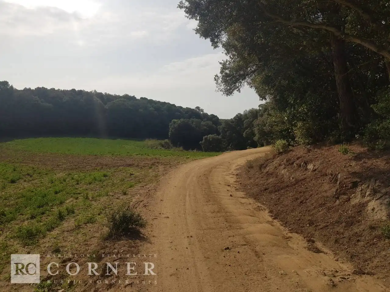 Finca rústica en venta en Dosrius poble