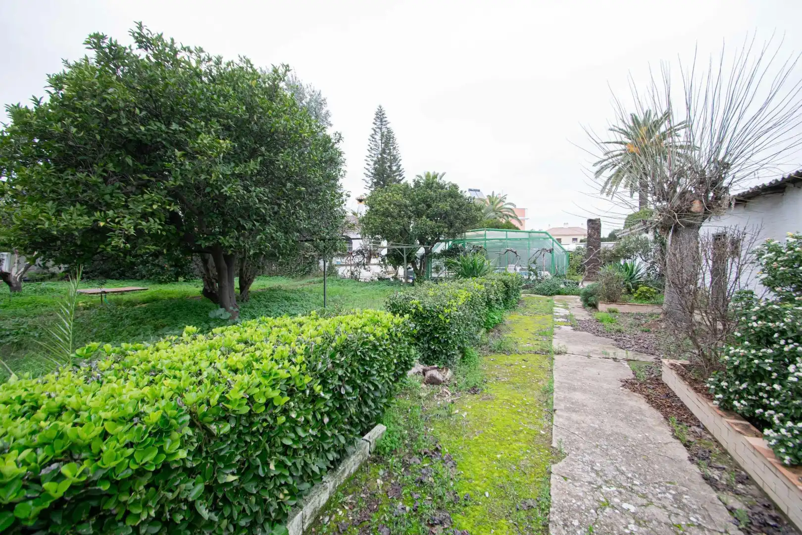 Jardí de Casa o xalet en venda en Espartinas amb Jardí privat, Terrassa i Traster