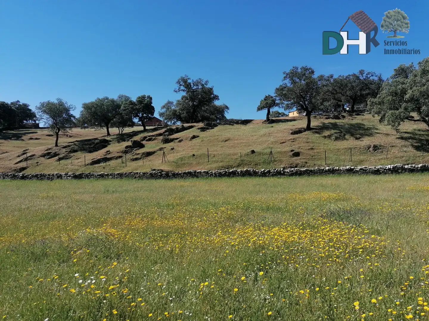 Residencial en venda a Serradilla