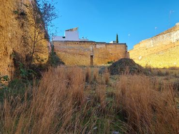 Residential land for sale in Calle Cardenal Cisneros