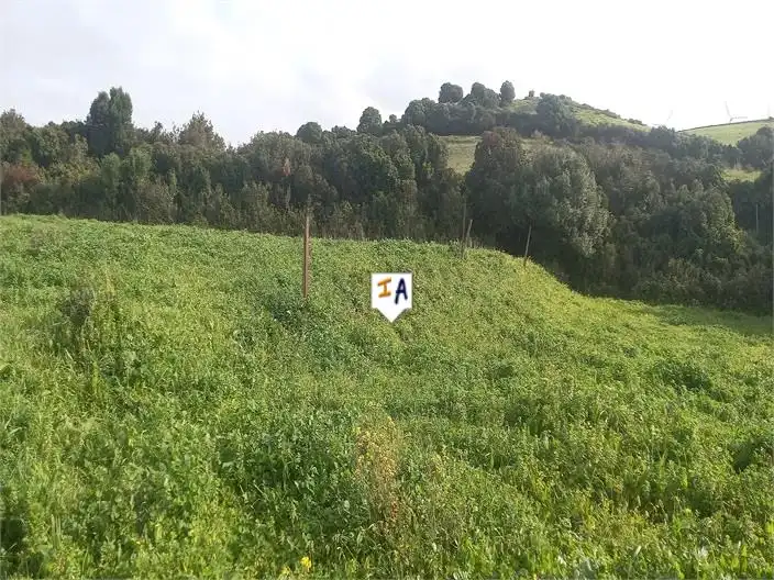 Terreni e lotti in vendita a Barbate ciudad, imagen 10