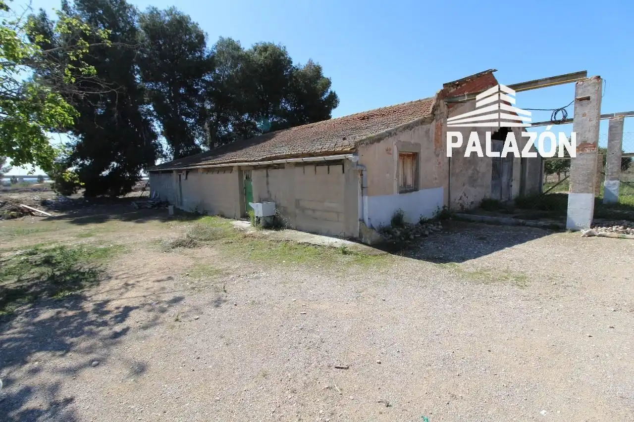 Terreno rustico in vendita a Crevillent, imagen 5