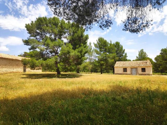 Terreno en Venta en Polígono 7 en Férez