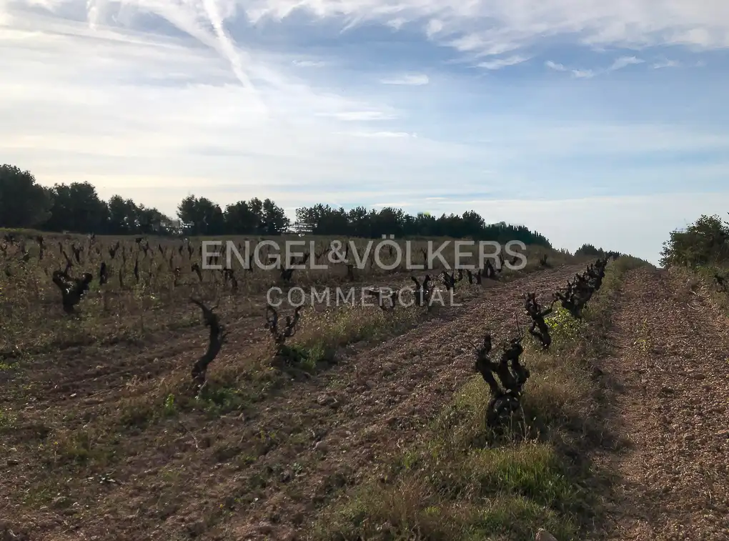 Fabrik Grundstücke zum Verkauf in Avinyonet del Penedès