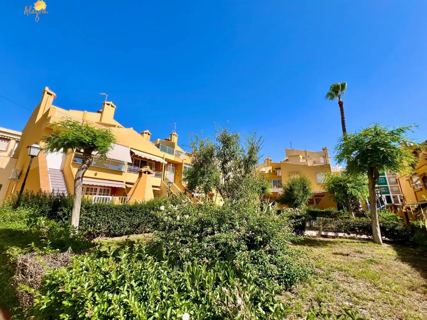 Apartment with terrace for sale in Avenida de don juan de austria, imagen 2
