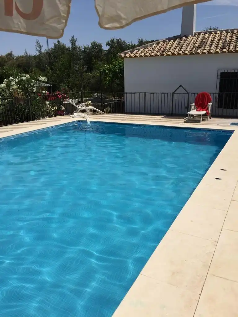 Piscina de Finca rústica en venta en Baena con Jardín privado, Terraza y Piscina