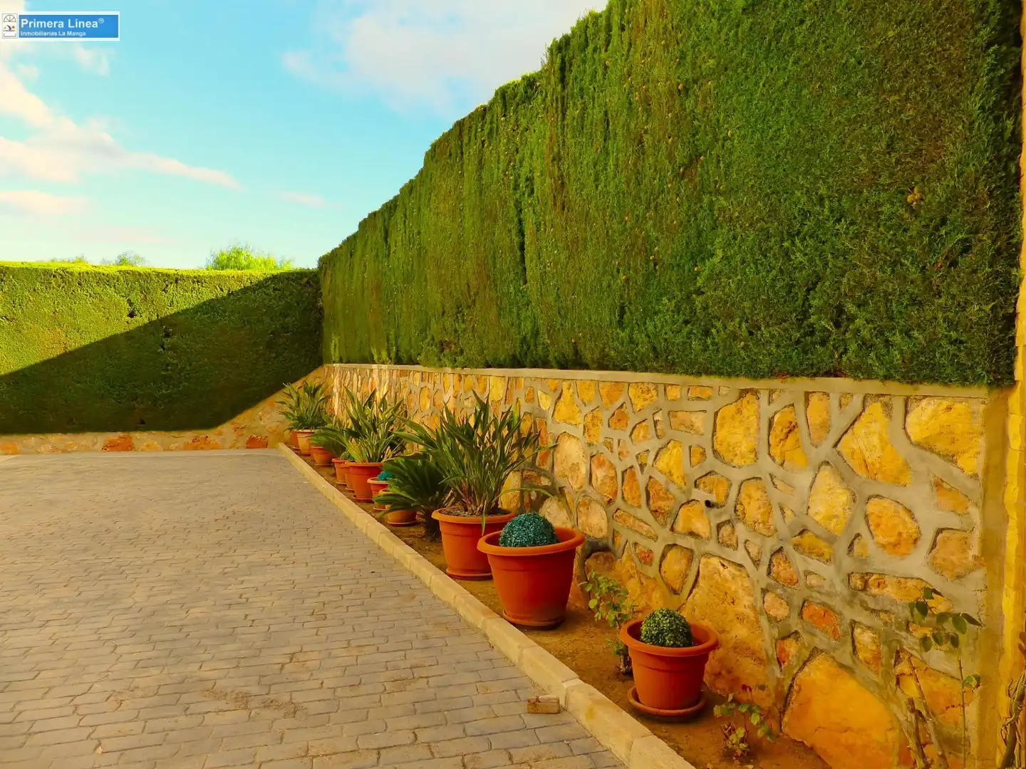 Villa mit Terrasse zum Verkauf in Mar Menor de Cartagena – Cabo de Palos, imagen 5