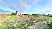 Casa o xalet en venda en El Puerto de Santa María amb Aire condicionat, Calefacció i Jardí privat