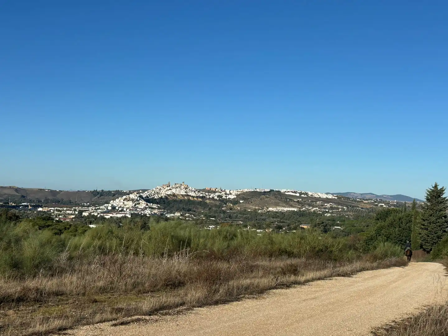 Vista exterior de Terreny en venda en Arcos de la Frontera