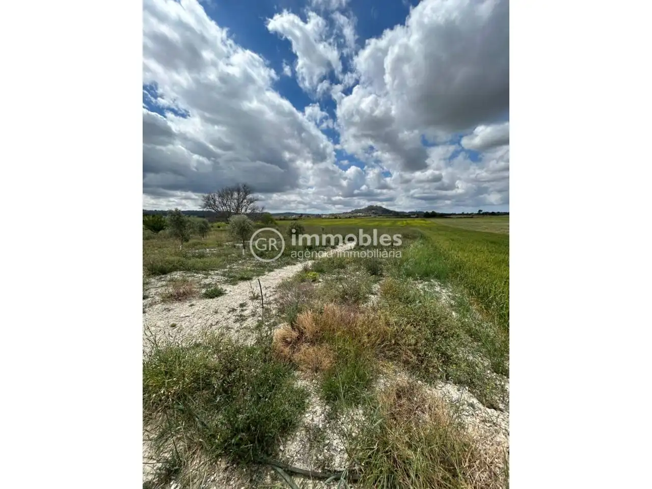 Terreno rustico in vendita a Sineu, imagen 3