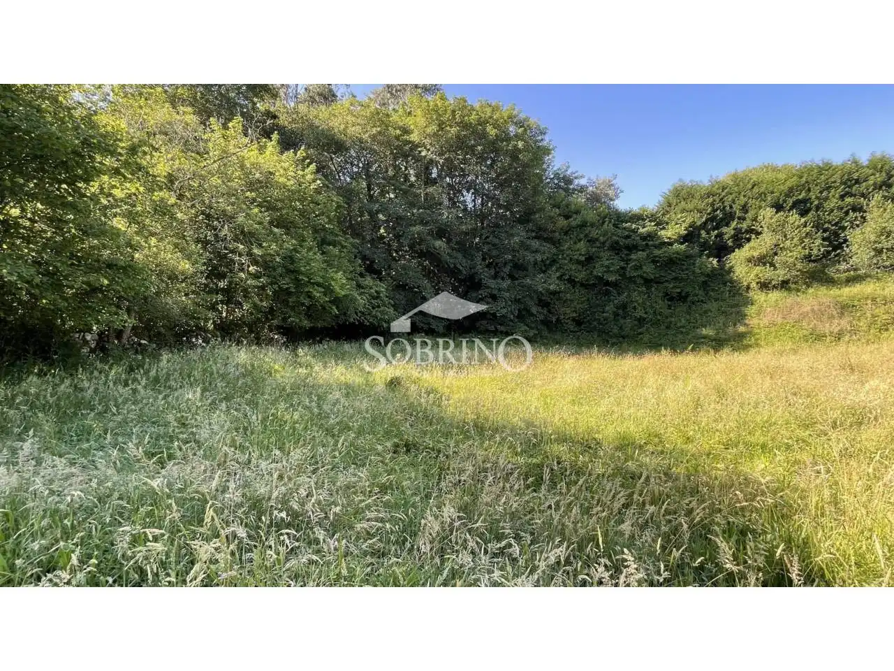 Terreno residencial en venta en Calle La Pereda 0, imagen 8