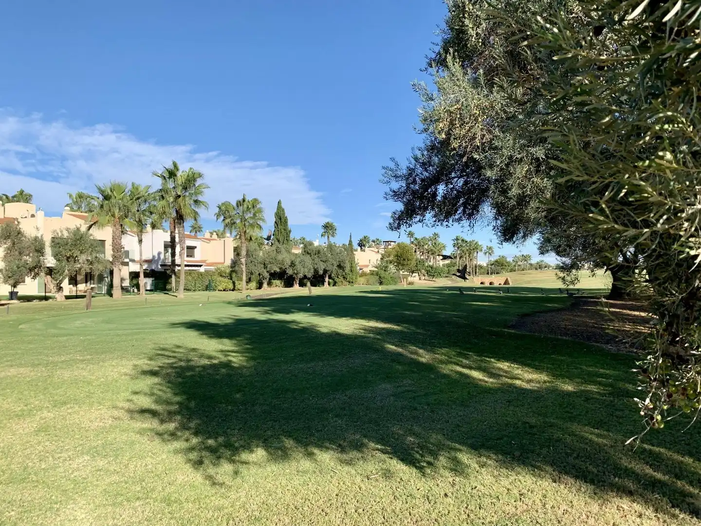 Bungalow con piscina in vendita a Roda, imagen 37