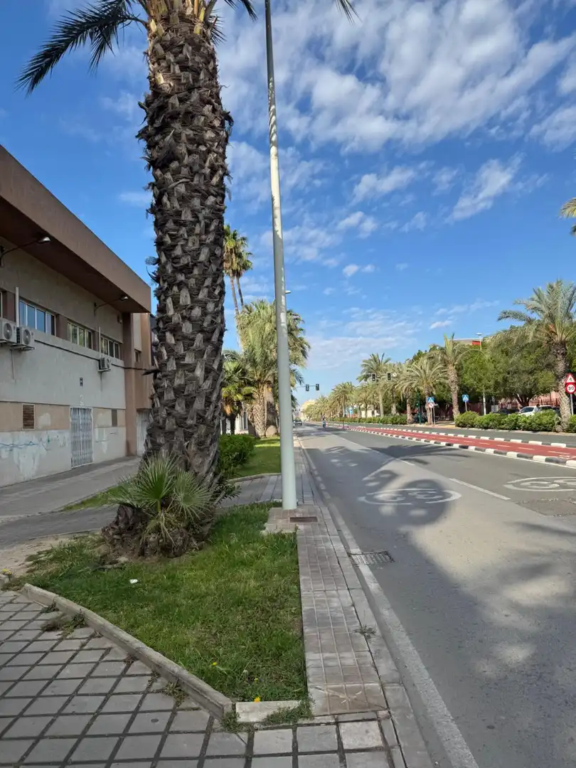 Vista exterior de Local de lloguer en Elche / Elx amb Aire condicionat i Moblat