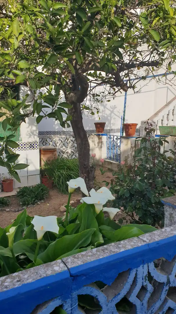 Casa en venta en Parque de la Constitución 5a, imagen 14