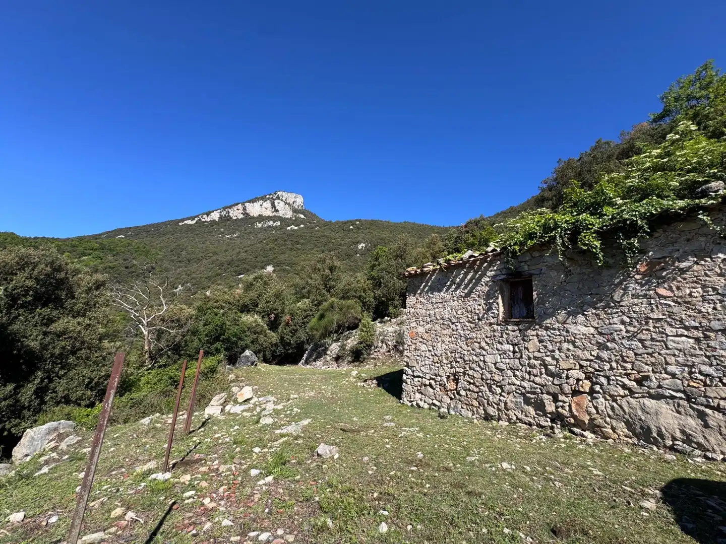Vista exterior de Finca rústica en venta en Albanyà con Jardín privado, Terraza y Trastero