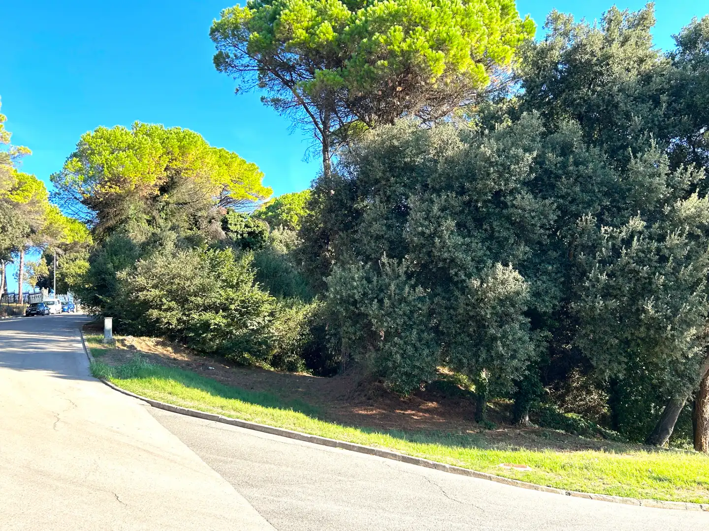 Terreny residencial en venda a Carrer Mas Amat, imagen 5