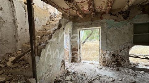Immagine 4 dell'annuncio