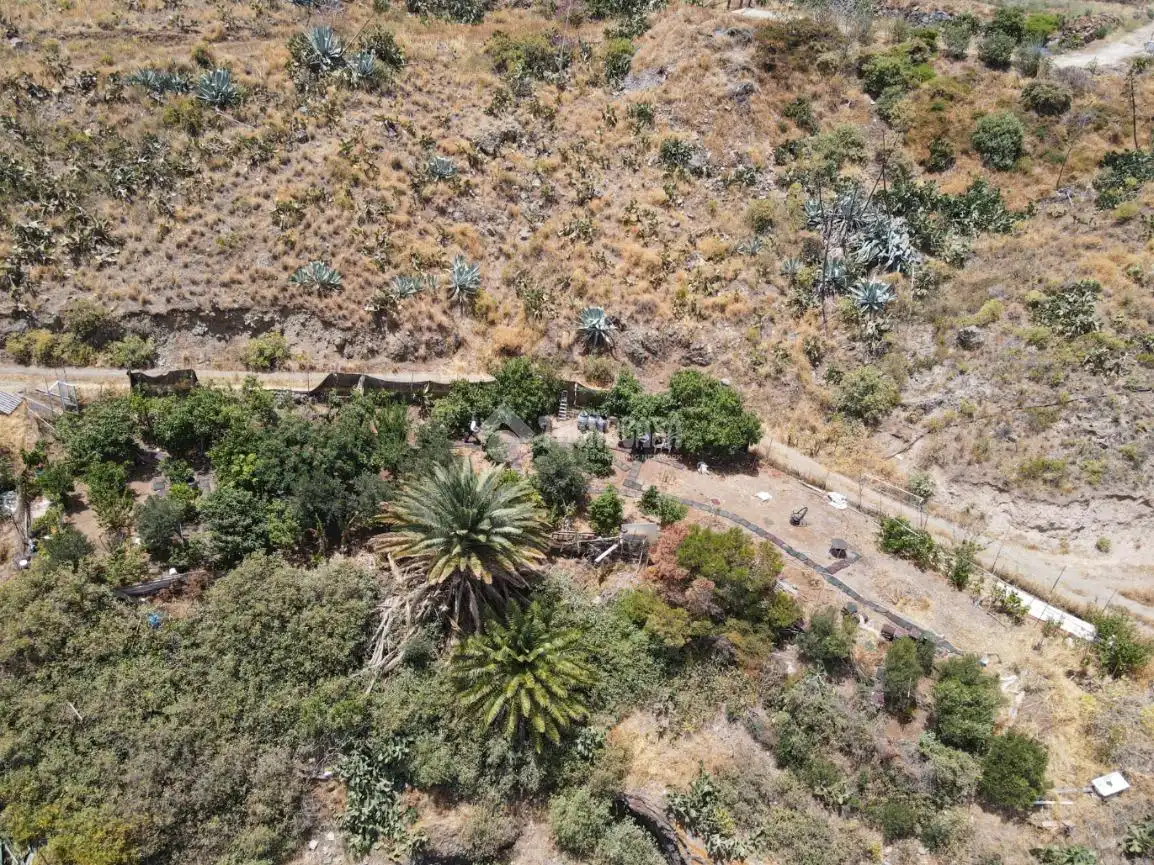 Terreny rústic en venda a Valsequillo de Gran Canaria, imagen 15