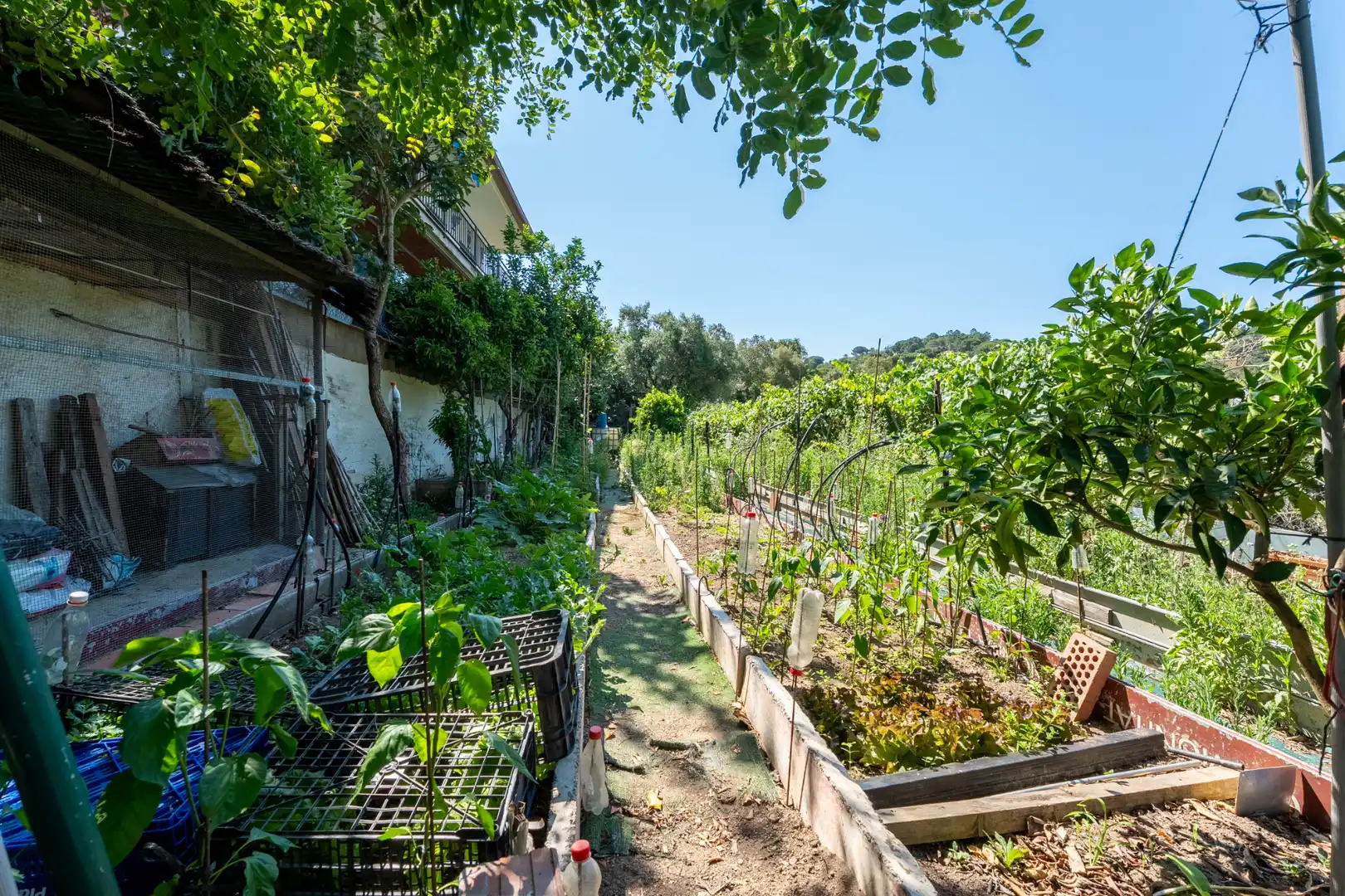 Jardí de Casa o xalet en venda en Maçanet de la Selva amb Calefacció, Jardí privat i Terrassa