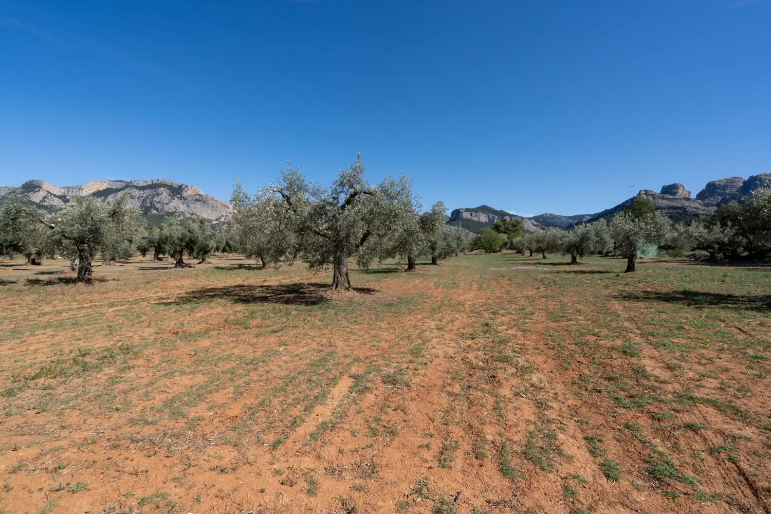 Rural land for sale in Raval dels Àngels 18, imagen 31
