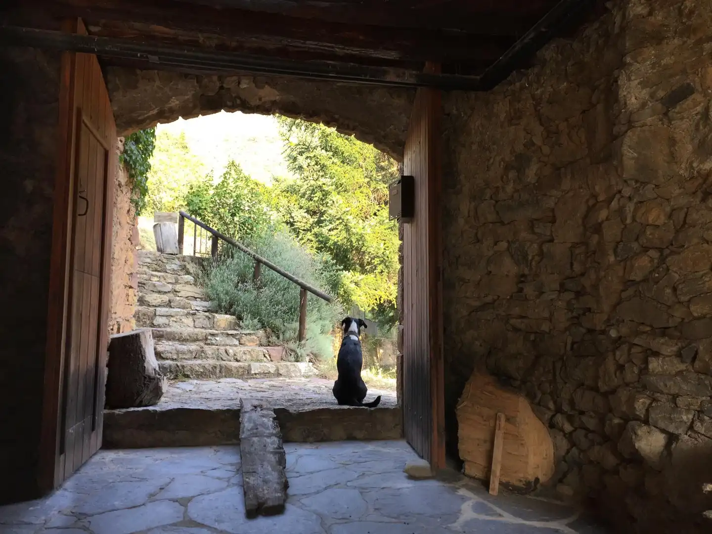 Finca rústica en venda a Arsèguel