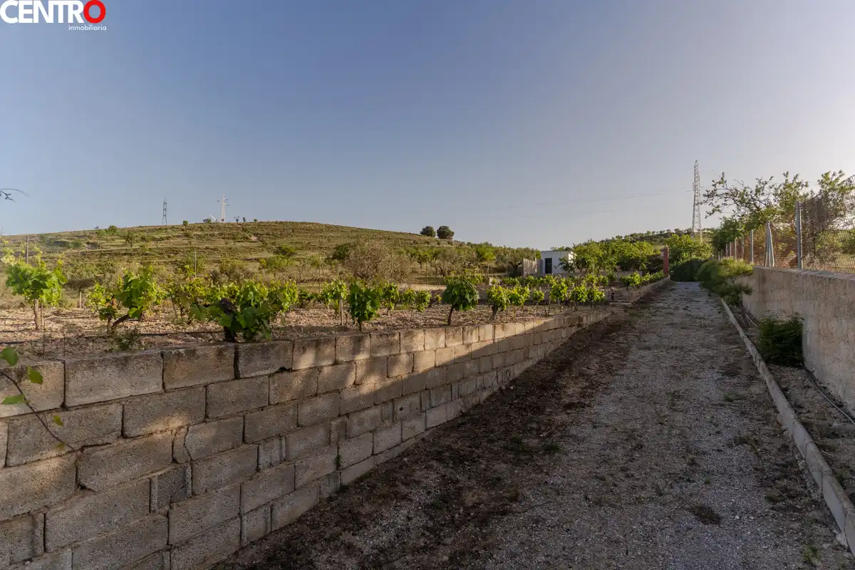 Casa con giardino in vendita a molinos, imagen 55