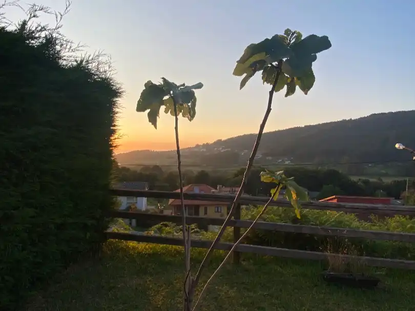 Villa mit Garten zur Miete in Lugar Castro Nucleo 96, imagen 32