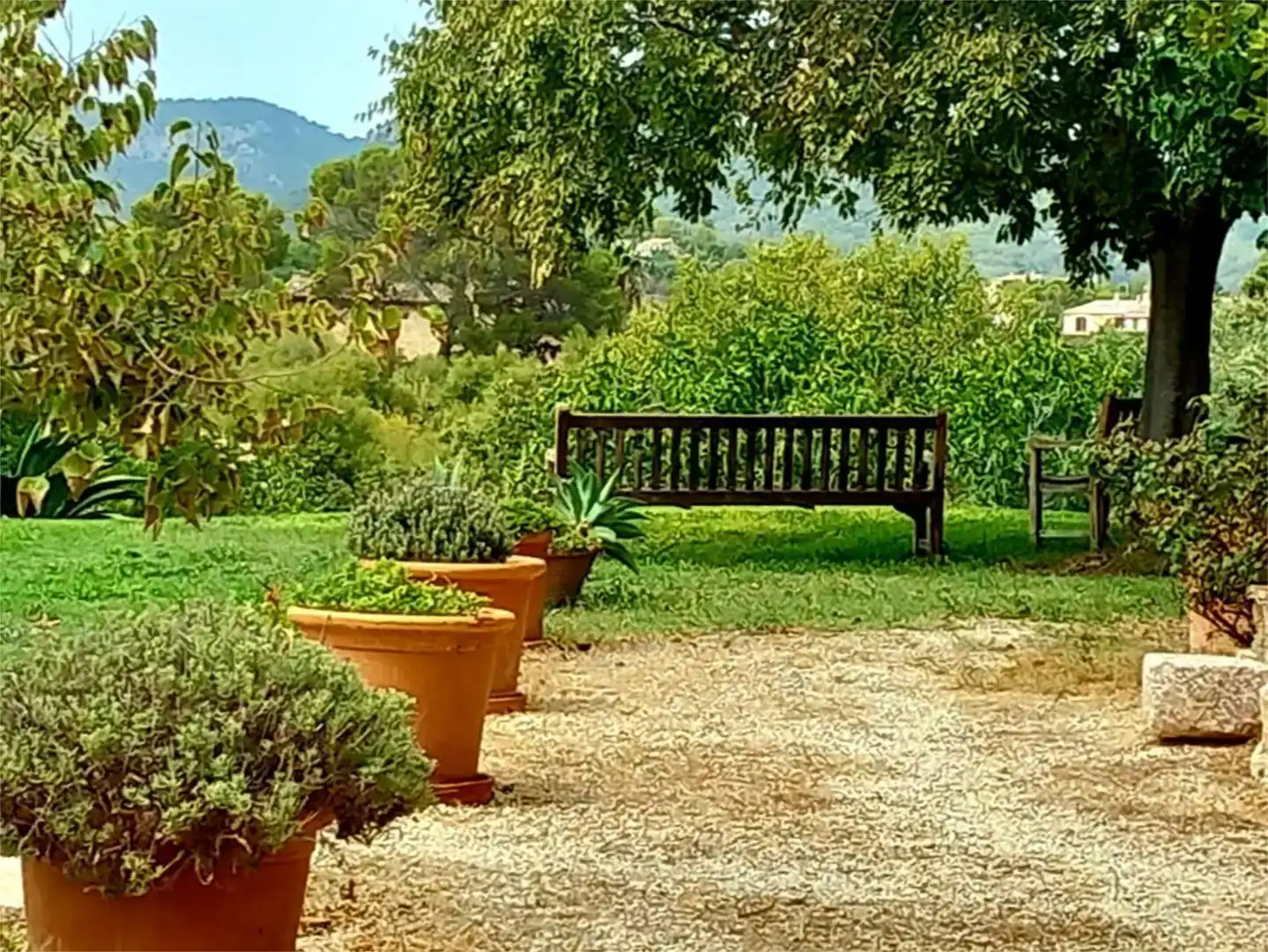 Jardí de Casa o xalet en venda en  Palma de Mallorca