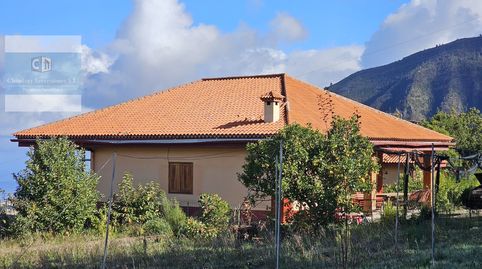 Foto 2 de Finca rústica en venta en El Bebedero - Pinolere - Aguamansa, La Orotava