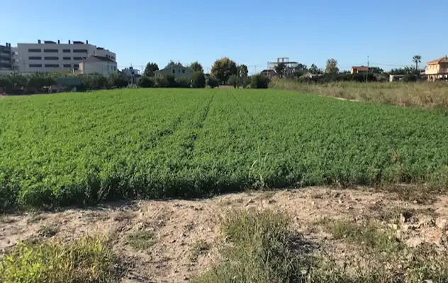 Wohnbaugrundstück zum Verkauf in Robert Graupera, imagen 5