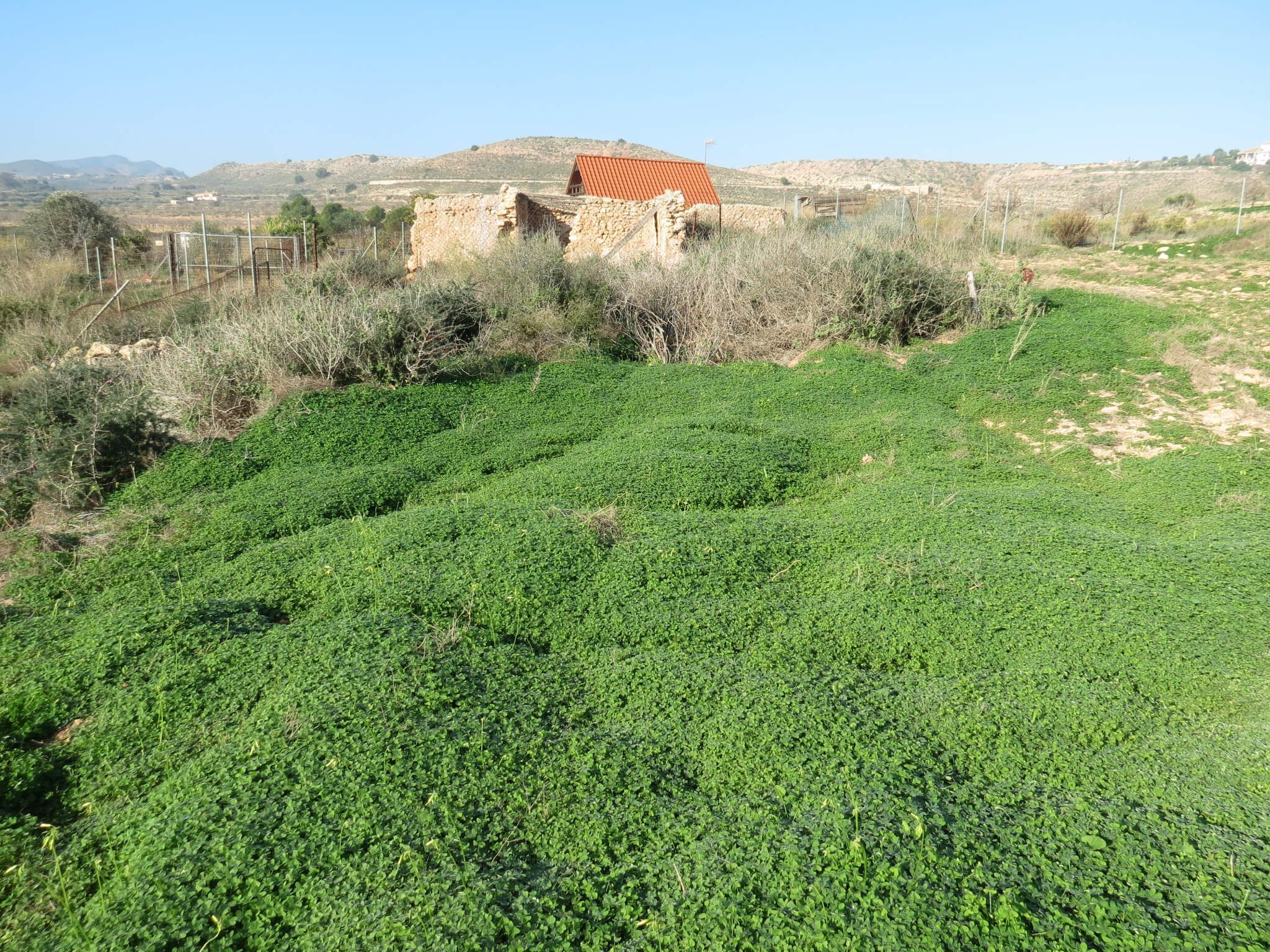 Terreno en venta en Perín