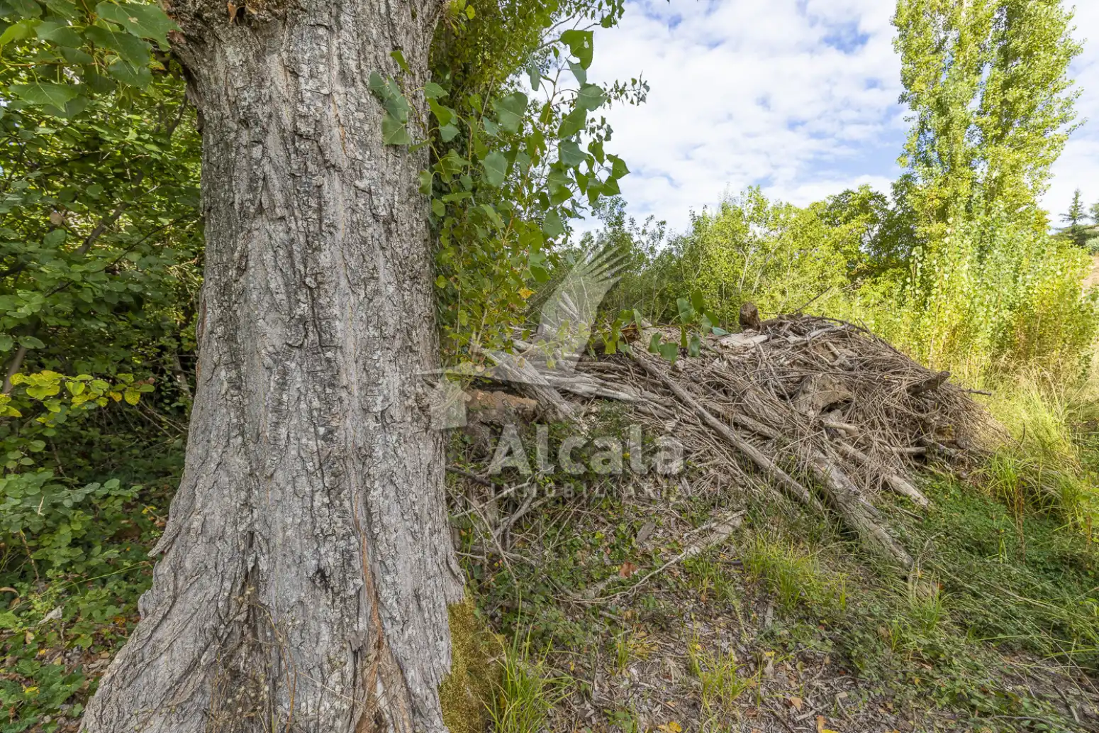 Terreno en venta en Hueva